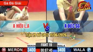 Trận 19 CPC2 11/06/2026 - Gà Cú Anh Đức Có Chân Cựa Quá Hiểm