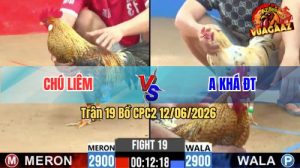 Trận 19 CPC2 12/06/2026 - Gà Bướm Anh Khá Đá Khôn Như Người
