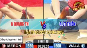 Trận 19 CPC2 13/06/2026 - Gà Anh Út Thiên Chồng Độ Lên Lớp Quá Hay