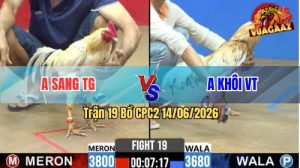 Trận 19 CPC2 14/06/2026 - 2 Con Chiến Kê Quá Ngang Tài Ngang Sức