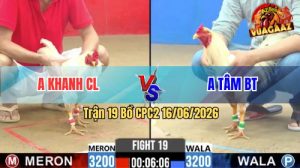 Trận 19 CPC2 16/06/2026 – Gà Bướm Anh Khanh Đá Mấy Chân Lụm Lúa