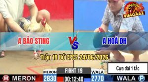 Trận 19 CPC2 24/06/2026 – Anh Bảo Sting Đụng Với Anh Hoà Đức Hoà