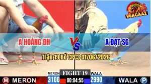 Trận 19 CPC3 01/06/2026 - Gà Bướm Anh Đạt Nhìn Quá Mướt Mắt