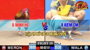 Trận 19 CPC3 08/06/2026 - Gà Úa Anh Kiểm Cà Mau Tránh Né Quá Hay
