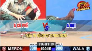Trận 19 CPC3 13/06/2026 - Gà Điều Anh Đạt Đá Đối Thủ Chạy Quanh Bồ