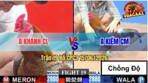 Trận 19 CPC3 15/06/2026 – Gà Điều Anh Kiểm Triệt Gãy Chân Gà Anh Khanh