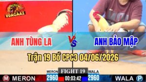 Trận 19 CPC3 Ngày 04/06/2026 Tại Vua Gà AZ