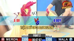 Trận 2 CPC2 02/06/2026 - Gà Camelo Đá Cho Xỉu, Xong Quay Đầu