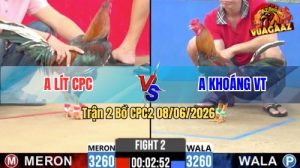 Trận 2 CPC2 08/06/2026 - Gà Anh Lít CPC Đá Siết Quá Tốc Độ