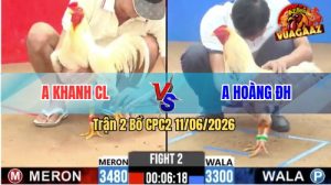 Trận 2 CPC2 11/06/2026 - Gà Bướm Anh Hoàng Chà Đúng 1 Hơi Lụm Tiền