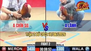 Trận 2 CPC2 14/06/2026 - Anh Lành Hạ Anh Chín Chỉ Trong 1 Nốt Nhạc
