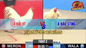 Trận 2 CPC2 16/06/2026 – Gà Bướm Cọp Idol Bảo Sting Chấp 3 Chấm