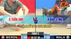 Trận 2 CPC2 17/06/2026 – Anh Tuấn Anh Hạ Idol Bảo Sting Nhanh Gọn