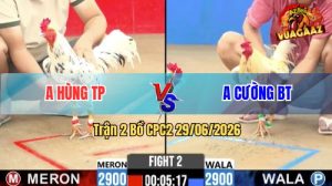 Trận 2 CPC2 29/06/2026 – Gà Anh Cường Đá Canh Chặn Quá Khôn Khéo