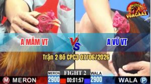 Trận 2 CPC3 07/06/2026 - Gà Anh Mắm Vũng Tàu Đá Đòn Quá Hiểm