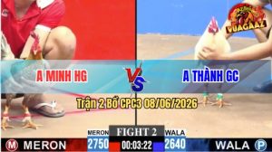 Trận 2 CPC3 08/06/2026 - Gà Cú Anh Minh Đá Đâm Như Đời Tới