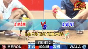 Trận 2 CPC3 18/06/2026 – Gà Anh Vũ Vũng Tàu Bươi Chà Như Cái Máy