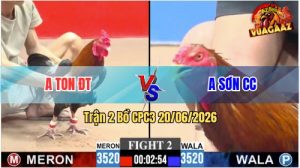 Trận 2 CPC3 20/06/2026 – Gà Điều Anh Ton Đồng Tháp Ra Quân Thuận Lợi