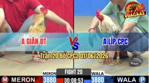 Trận 20 CPC2 01/06/2026 - Gà Bướm Quá Lì Đòn, Gồng Tới Cuối