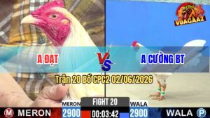 Trận 20 CPC2 02/06/2026 - Anh Đạt Có Pha Lội Ngược Dòng Quá Hay
