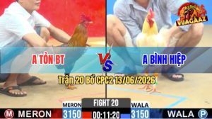 Trận 20 CPC2 13/06/2026 - Gà Bướm Anh Bình Hiệp Đá Xanh Gãy Cổ