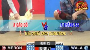 Trận 20 CPC2 15/06/2026 – Anh Thắng SG Hạ Gọn Anh Cào Cỏ