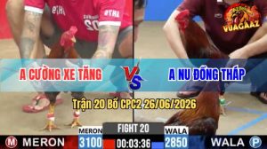 Trận 20 CPC2 26/06/2026 – Gà Anh Nu Đồng Tháp Đá Cái Bo Như Búa Bổ
