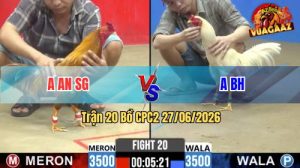 Trận 20 CPC2 27/06/2026 – Gà Khét Anh An Nhập Vô 1 Câu Cựa Lụm Tiền