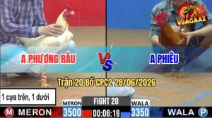 Trận 20 CPC2 28/06/2026 – Gà Úa Anh Phương Râu Đá Như Súng Bắn