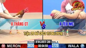 Trận 20 CPC3 11/06/2026 - Gà Bông Anh Tẻo Tải Cựa Quá Khủng