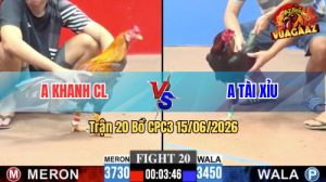Trận 20 CPC3 15/06/2026 – Gà Khét Anh Khanh CL Đá Đòn Như Búa Bổ