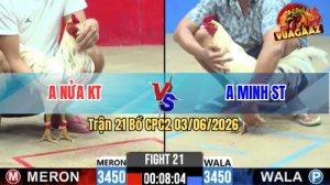 Trận 21 CPC2 03/06/2026 - Gà Anh Minh Đá Đúng 3 Chân Lụm Tiền