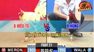 Trận 21 CPC2 07/06/2026 - Gà Điều Anh Hùng Đá Nhanh Như Tép
