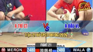 Trận 21 CPC2 08/06/2026 - Gà Điều Anh Trí Đá Chân Cựa Quá Tịch