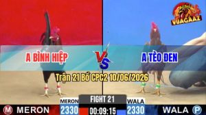 Trận 21 CPC2 10/06/2026 - Gà Điều Anh Bình Hiệp Đá Cựa Quá Tịch