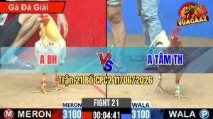 Trận 21 CPC2 11/06/2026 - Anh Tâm Hạ Anh BH Giành Lấy 3 Điểm