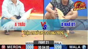 Trận 21 CPC2 12/06/2026 - Gà Anh Trầu Đá Chân Nào Cũng Dính Cựa