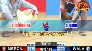 Trận 21 CPC2 13/06/2026 - Gà Bướm Anh Cường Tải Cựa Quá Tốt