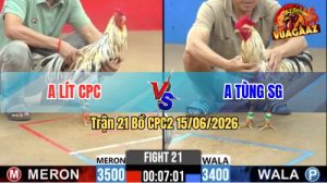 Trận 21 CPC2 15/06/2026 – Gà Anh Lít CPC Canh Chặn Quá Khôn Khéo