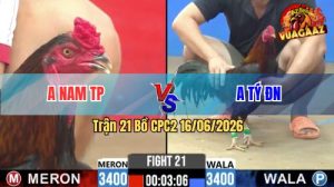 Trận 21 CPC2 16/06/2026 – Gà Anh Nam TP Đá Đâm Như Máy Khâu