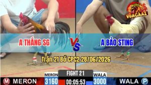 Trận 21 CPC2 28/06/2026 – Idol Bảo Sting Đưa Bướm Hiệu Vào Sân Có Khác