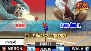 Trận 21 CPC2 30/06/2026 – Gà Bướm Anh Bảo Có Pha Dứt Điểm Phút 90