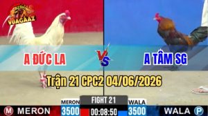 Trận 21 CPC2 Ngày 04/06/2026 Tại Vua Gà AZ