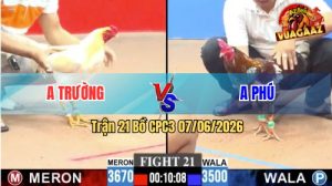 Trận 21 CPC3 07/06/2026 - Gà Úa Anh Phú Đá Cái Bo Như Xe Đụng