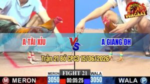 Trận 21 CPC3 15/06/2026 – Gà Khét Anh Giang Nạp 1 Chân Đỏ Gãy Giò