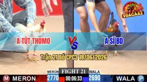 Trận 21 CPC3 18/06/2026 – Gà Điều Anh Sĩ Bình Dương Đâm Quá Ác