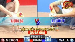 Trận 21 CPC3 21/06/2026 – Anh Tuấn Hạ Anh Đức Té Xe Nằm 1 Đống