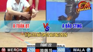 Trận 22 CPC2 10/06/2026 - Idol Bảo Sting Nài Gà Vẫn Không Thắng Nổi
