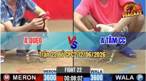 Trận 22 CPC2 12/06/2026 - Gà Anh Tâm Củ Chi Đá Cựa Như Tên Bay