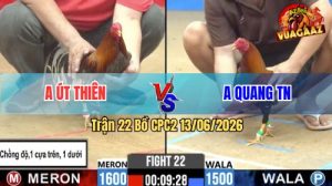 Trận 22 CPC2 13/06/2026 - Anh Út Thiên Chồng Độ Chấp Thêm 1 Cựa Trên
